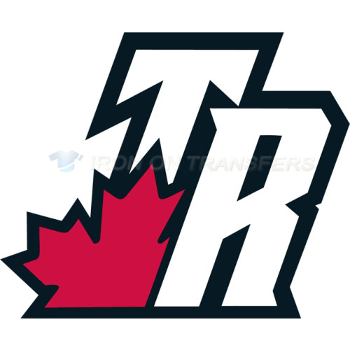 Toronto Raptors Iron-on Stickers (Heat Transfers)NO.1205